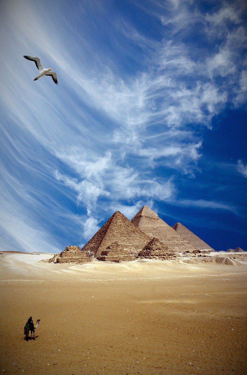 pyramids, egypt, camel-6224903.jpg